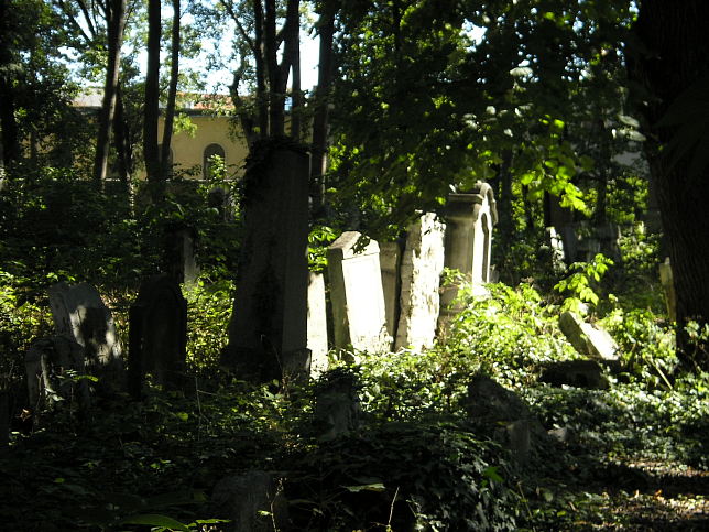 Jüdischer Friedhof Währing