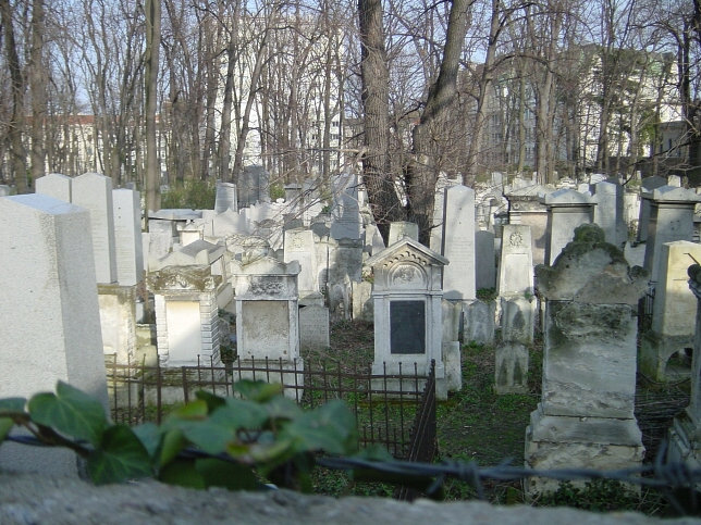 Jdischer Friedhof Whring