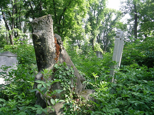 Jdischer Friedhof Whring