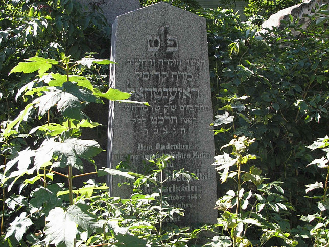 Jdischer Friedhof Whring