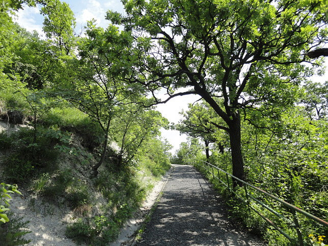 Nasenweg