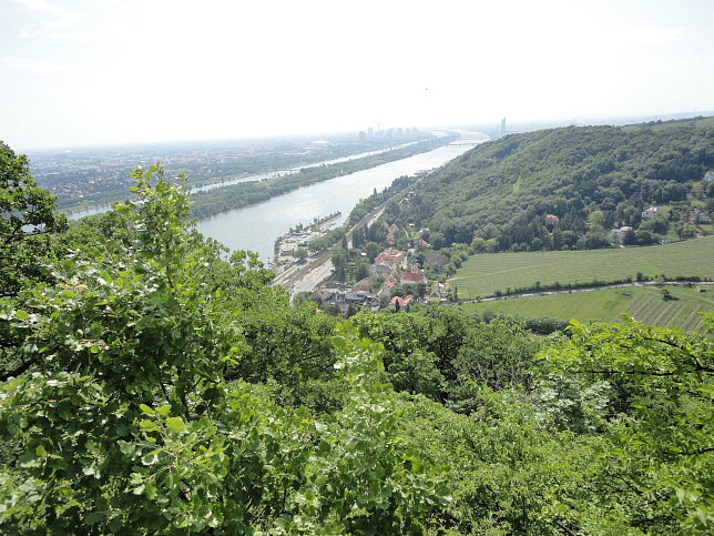 Nasenweg