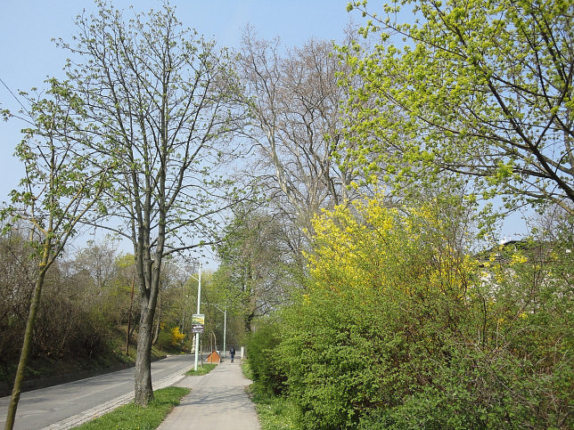 Kahlenbergerstrae