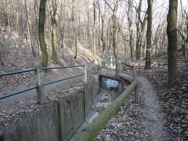 Waldbachsteig
