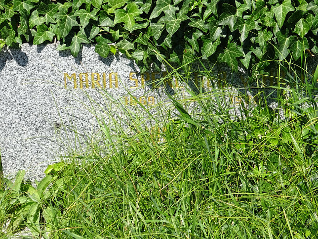 Hans Sperl