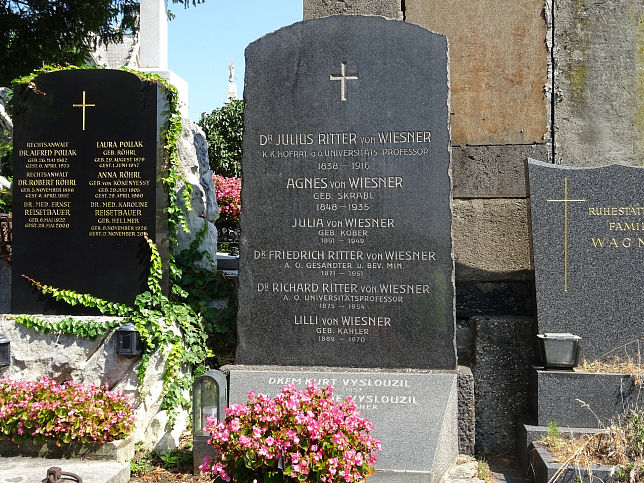 Friedrich Wiesner und Julius Wiesner