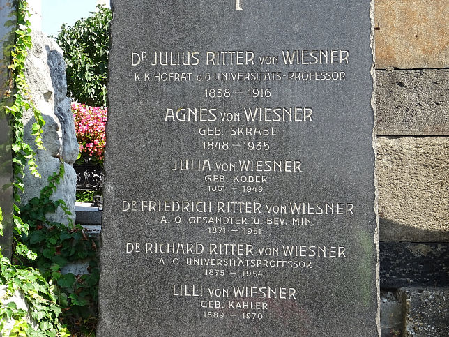 Friedrich Wiesner und Julius Wiesner