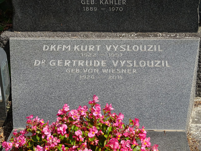 Friedrich Wiesner und Julius Wiesner