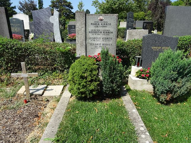 Maria Kianek