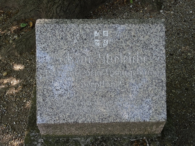 Pfarrkirche Grinzing