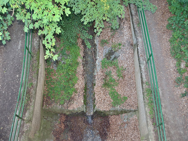 Kohlenbrennergraben