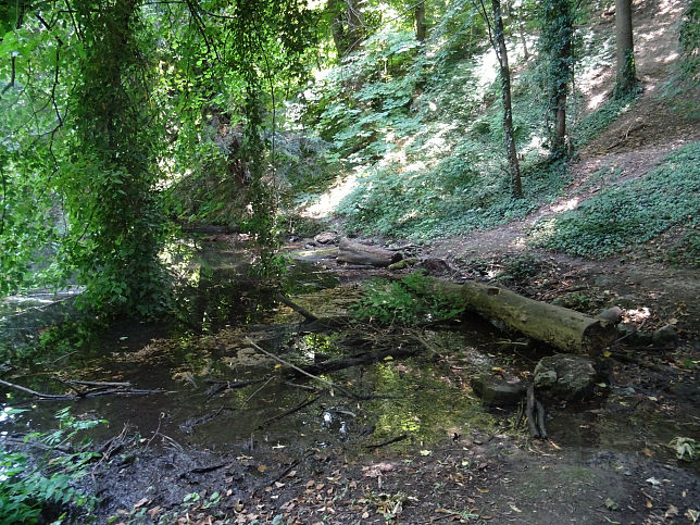 Wertheimstein-Park