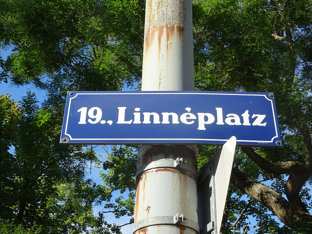 Linnéplatz
