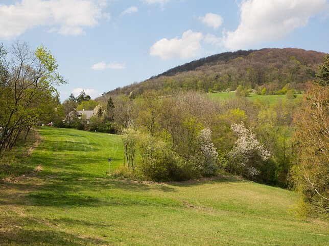 Reisenbergbach