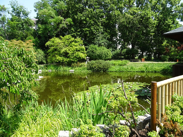 Setagayapark, Seerosenteich