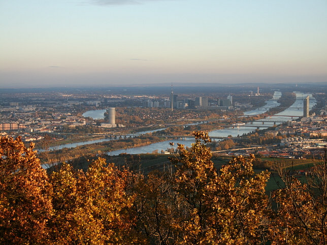 Ausblick Kahlenberg