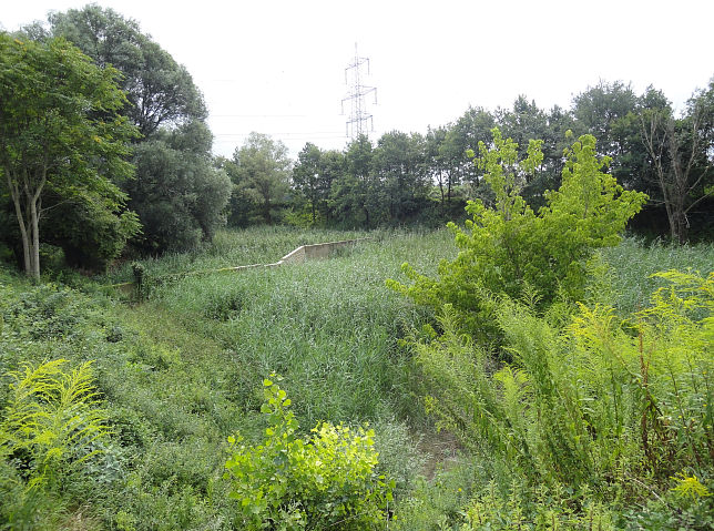 Krottenhofteich