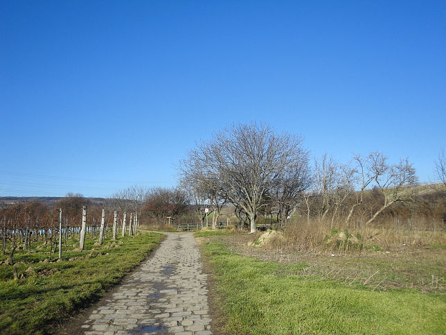 Brcke ber den Stammersdorfer Ortsgraben