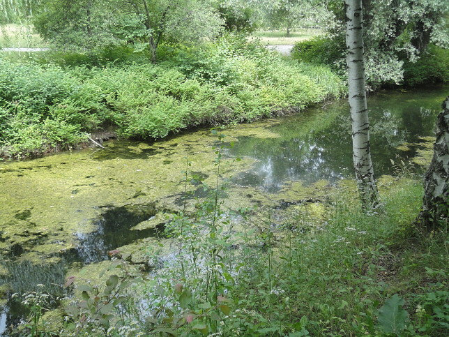 Floridsdorfer Wasserpark