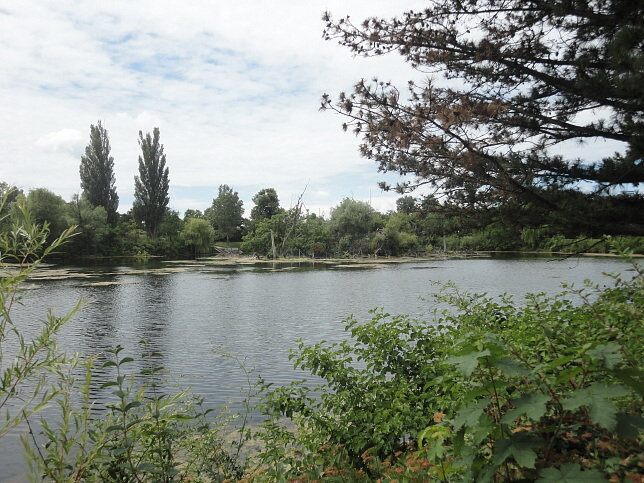 Floridsdorfer Wasserpark