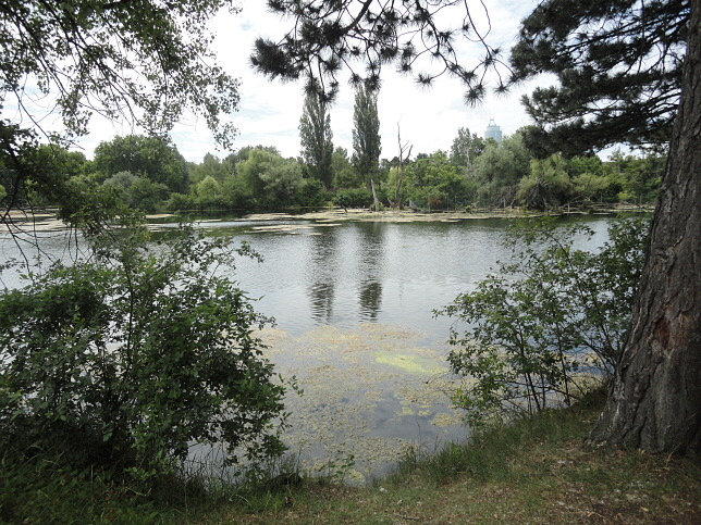 Floridsdorfer Wasserpark