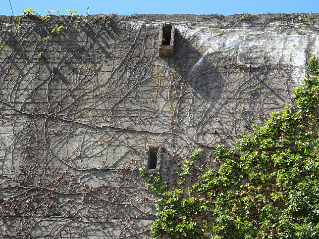 Bunker Gerichtsgasse