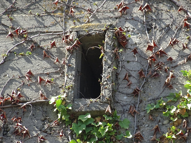 Bunker Gerichtsgasse