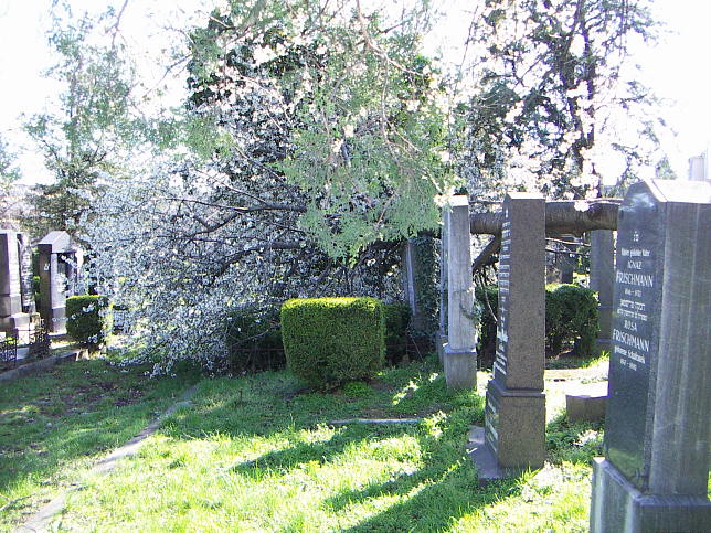 Jdischer Friedhof Floridsdorf
