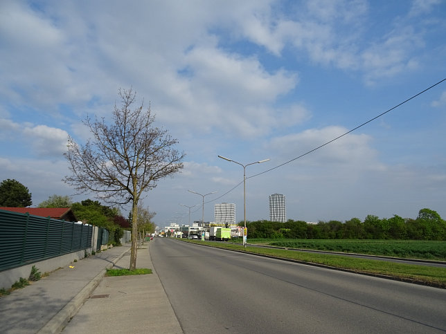 Julius-Ficker-Strae