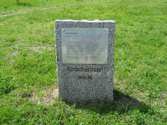 Donauinsel-Kirschenhain