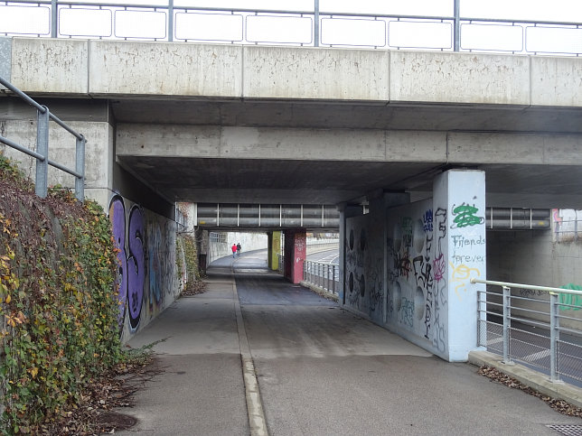 Unterfahrung Richard Neutragasse, Brcke Thayagasse