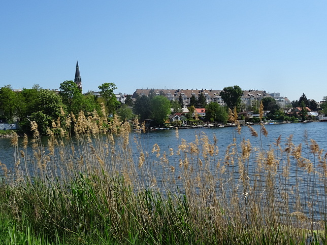 Alte Donau