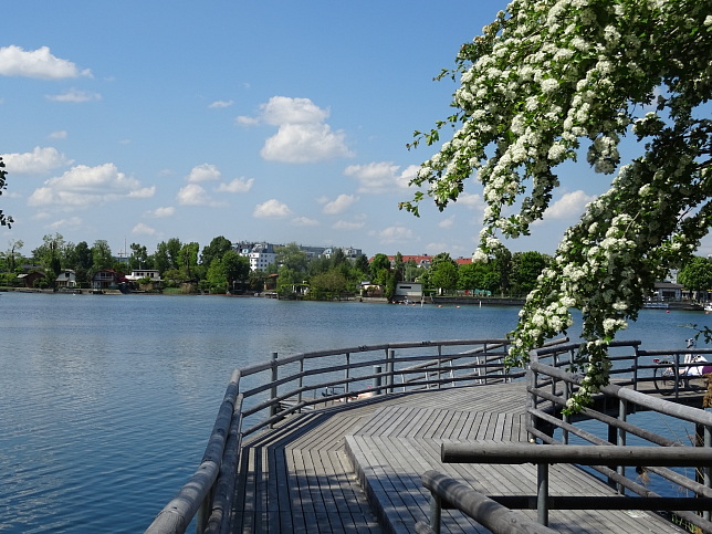 Alte Donau