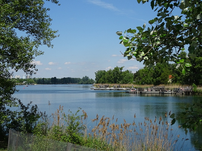 Alte Donau
