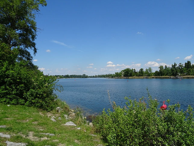 Alte Donau