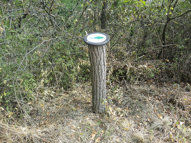 Naturlehrpfad Obere Lobau