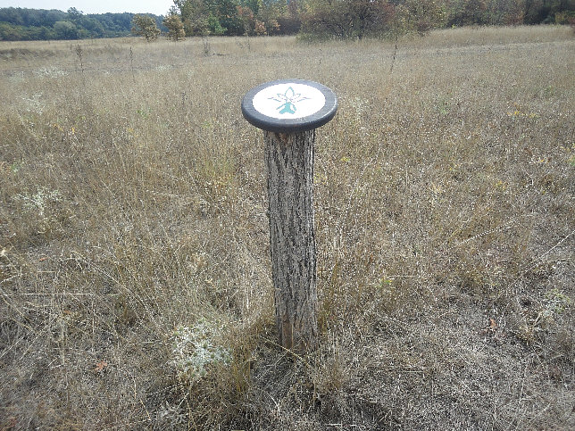 Naturlehrpfad Obere Lobau