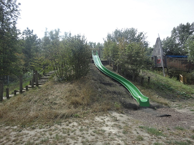 Baumkronenpfad