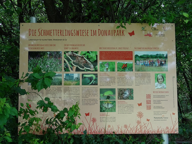 Schmetterlingswiese