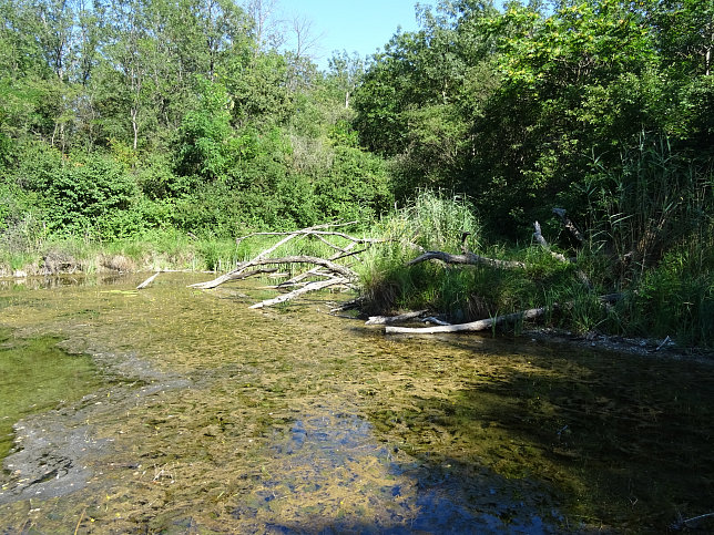 Egererbrcke, Nr. 1 (westlich)