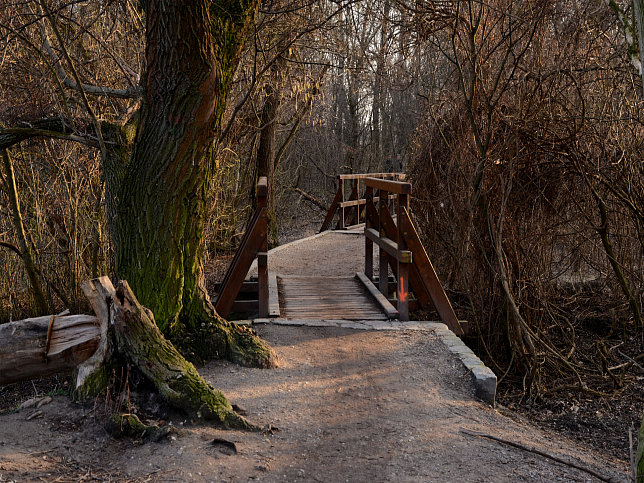 Stege bei Esslinger Furt, nrdlicher Steg