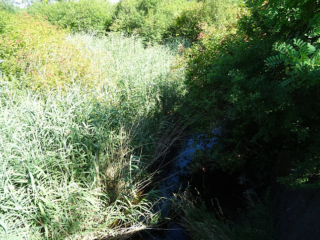 Brcke Kreuzgrundtraverse