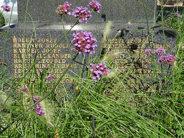 Kriegerdenkmal Breitenlee