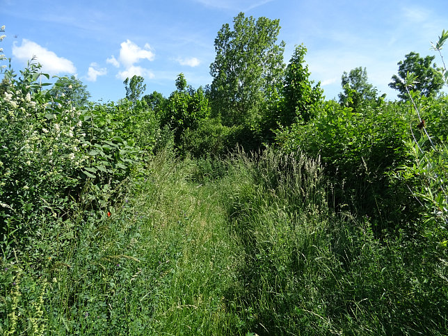 Labyrinth-Garten Aspern