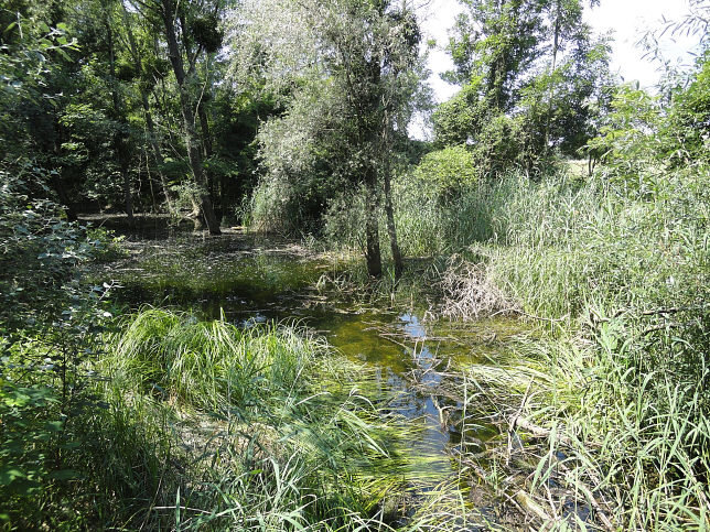 Stege �ber den Hausgraben