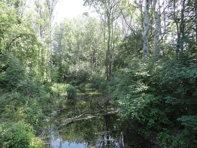 Stege �ber den Hausgraben