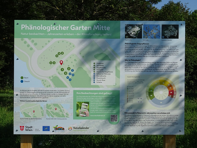 Phänolgischer Garten Mitte