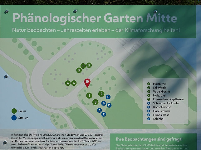 Phnolgischer Garten Mitte