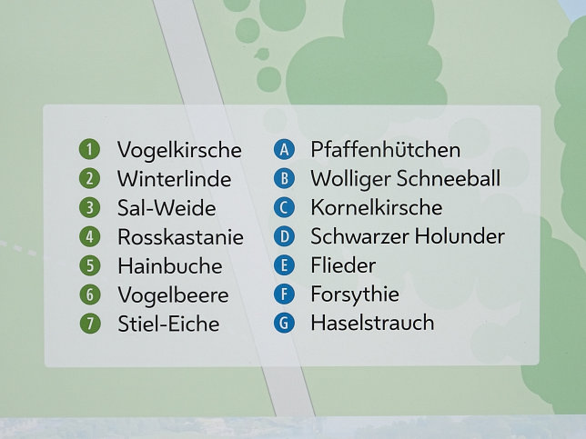 Phnolgischer Garten Nord