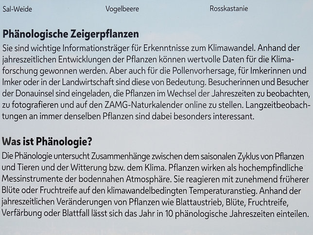 Phnolgischer Garten Nord
